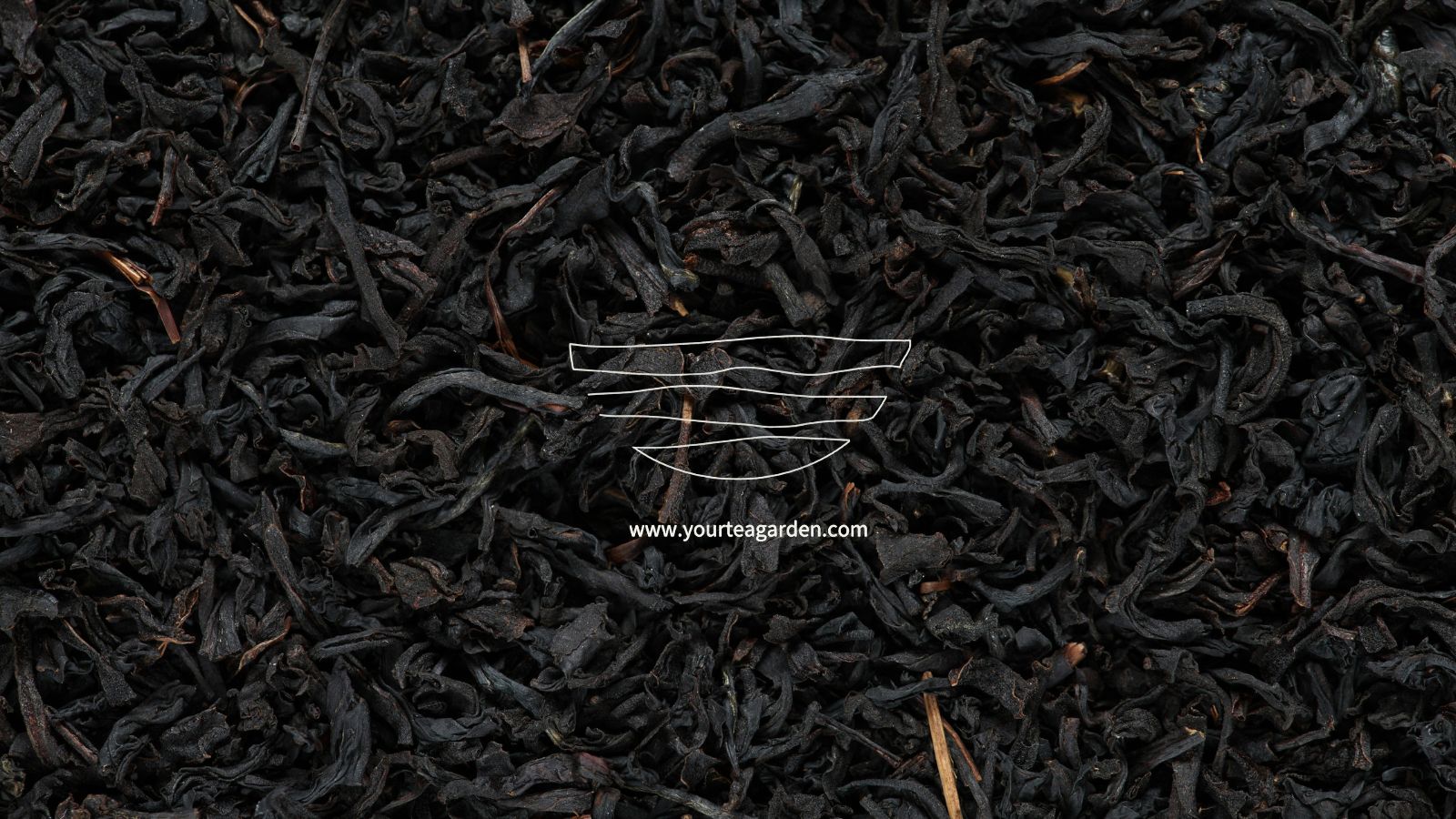 Your Tea Garden – Branding & Social Media Strategy gallery image 5